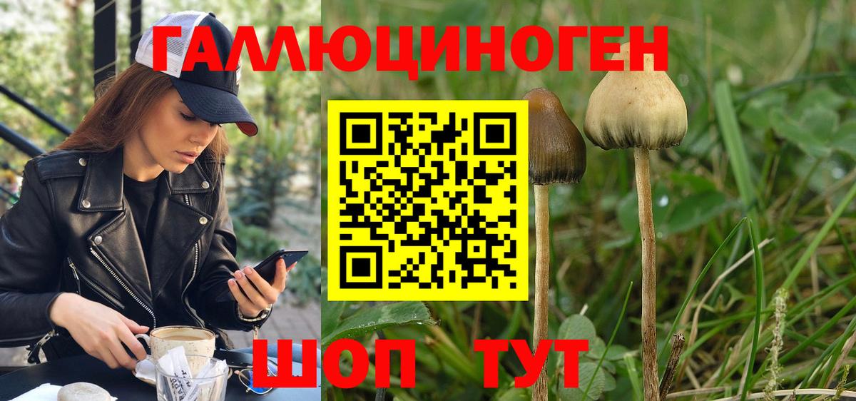 Рыбинск  Псилоцибиновые грибы Psilocybine cubensis  Вход с VPN 
