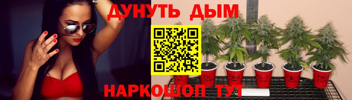 Марихуана план  Бошки Шишки LSD WEED  Вход с VPN  Конопля Bruce Banner  Рыбинск 
